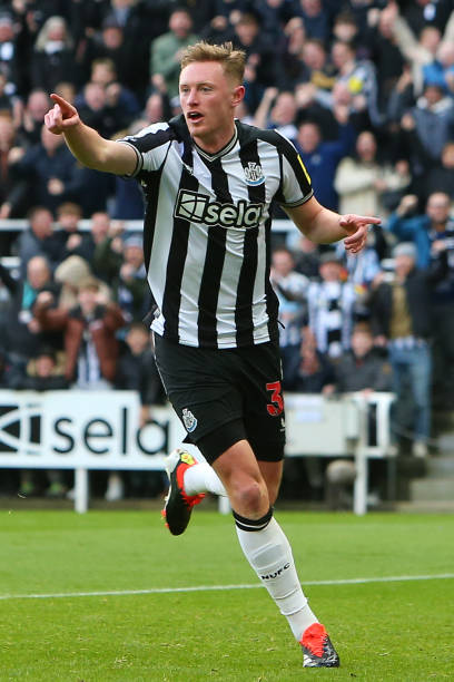 无疑将成为 无疑将成为