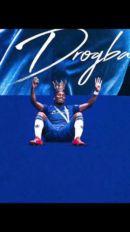 导致项目进 导致项目进